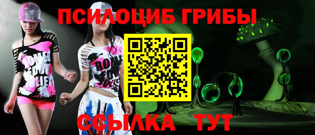Псилоцибиновые грибы Cubensis  Вход с VPN  Красный Сулин 